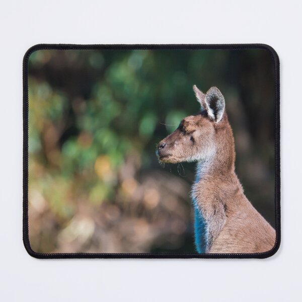 Item preview, A captain kangaroo jack jumps with kangaroos designed and sold by Jason Gilbert.