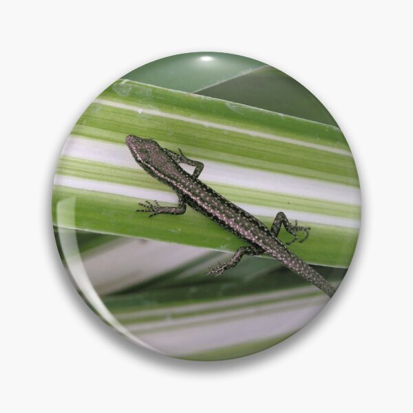 Aperçu de l'œuvre Bébé lézard sur les feuilles créée et vendue par AussieT2.
