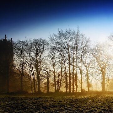 Artwork thumbnail, Church & Morning Mist by Coigach