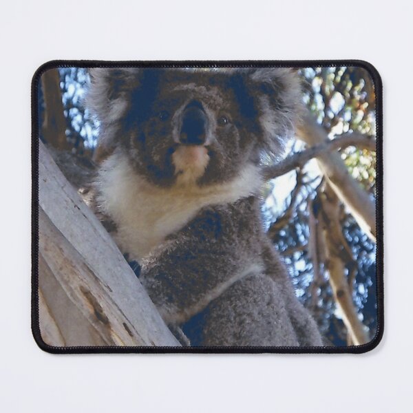 Item preview, Koala designed and sold by AussieT2.
