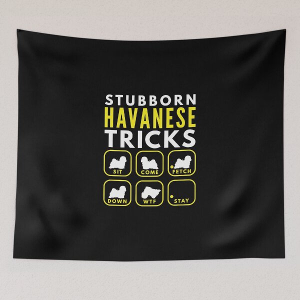 Item preview, Stubborn Havanese Tricks - Dog Training designed and sold by DoggyStyles.