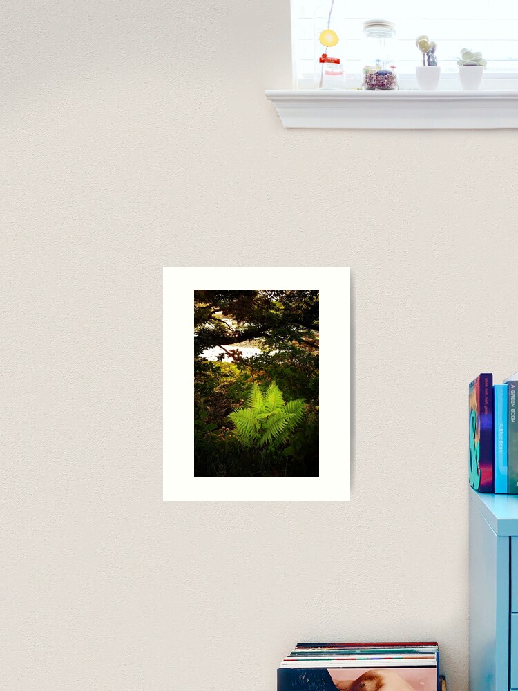 Thumbnail 2 of 3, Art Print, Woodland Fern designed and sold by Coigach.