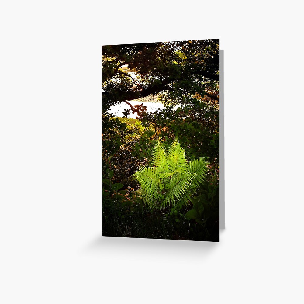 Item preview, Greeting Card designed and sold by Coigach.