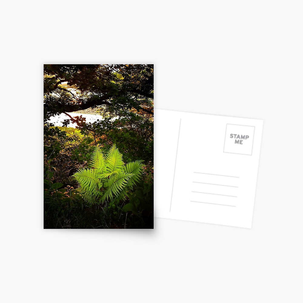 Item preview, Postcard designed and sold by Coigach.