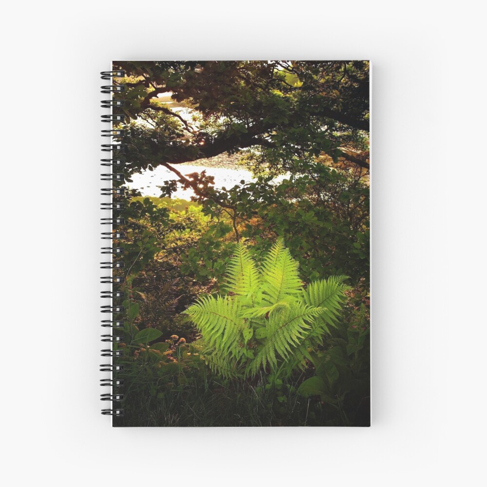 Item preview, Spiral Notebook designed and sold by Coigach.