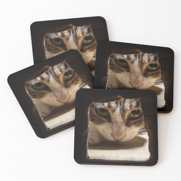 Item preview, Peeking Kitty designed and sold by Pete Leong.