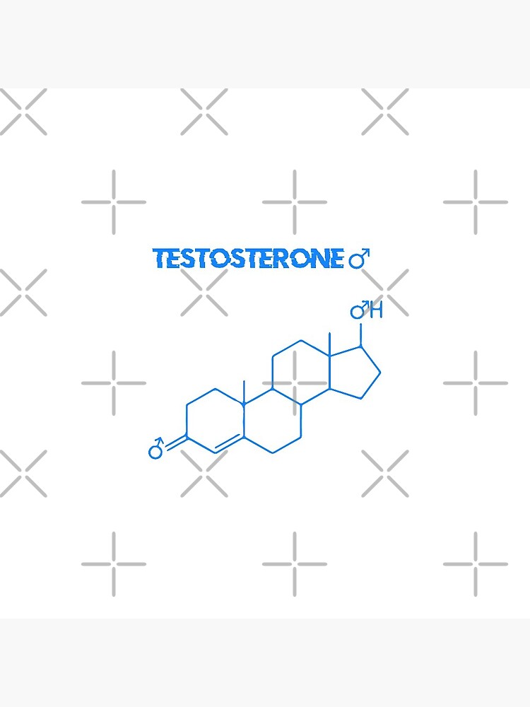 structure of testosterone