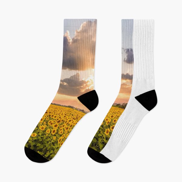 Artikelvorschau, Sonnenblumenfeld Sonnenuntergang entworfen und verkauft von Pete Leong.