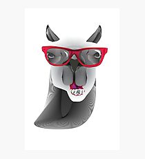 Hipster Llama Design Photographic Print