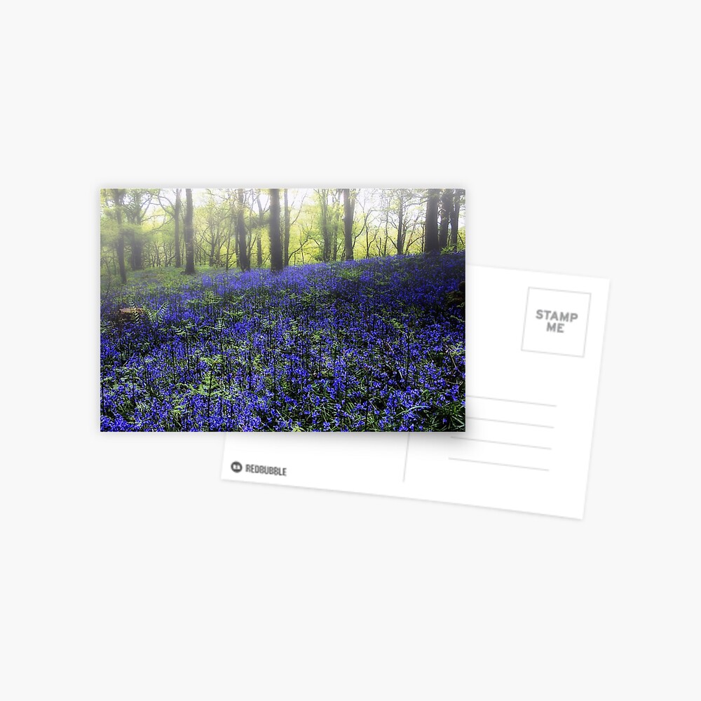 Item preview, Postcard designed and sold by Coigach.