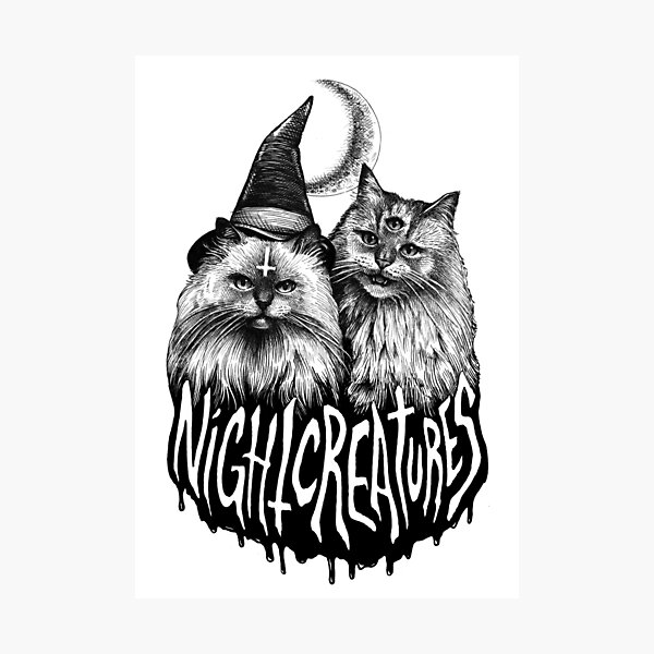 NIGHT CREATURES Photographic Print