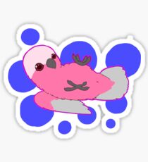 Galah Sticker
