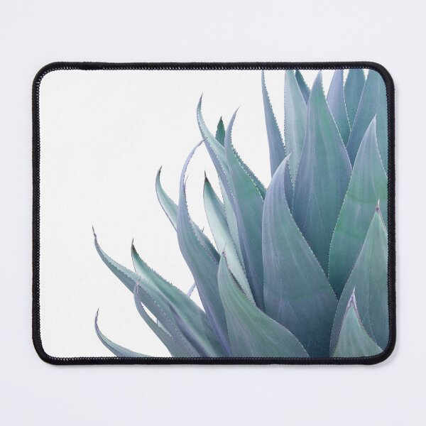Item preview, Minimal Agave #2 #minimal #wall #decor #art  designed and sold by Anita's & Bella's Art.