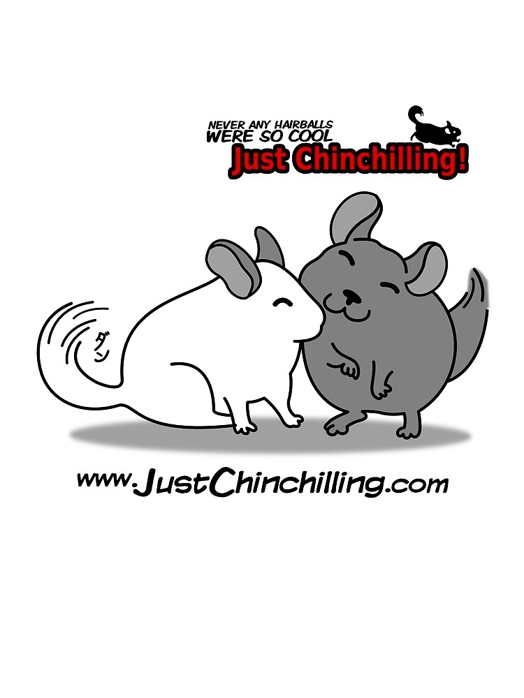 Tarjetas De Felicitacion Es Un Comic En Formato Webcomic Relata Las Aventuras De Sus Chinchillas Y Muestra Historias Basadas En Hechos Reales De Freakshop404 Redbubble