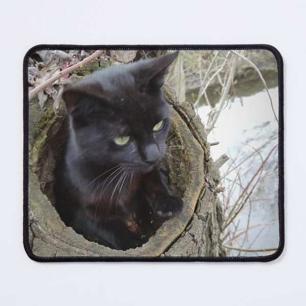Item preview, Cat Paule in the pasture designed and sold by Gourmetkater.