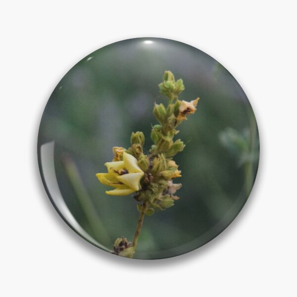 Item preview, macro yellow flower with soft background designed and sold by Sapphire-Sheaf.