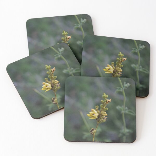 Item preview, macro yellow flower with soft background designed and sold by Sapphire-Sheaf.