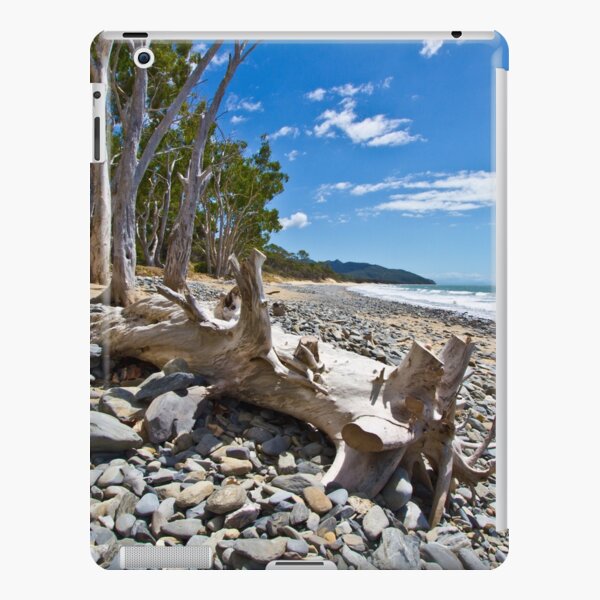 Drift Wood iPad Snap Case