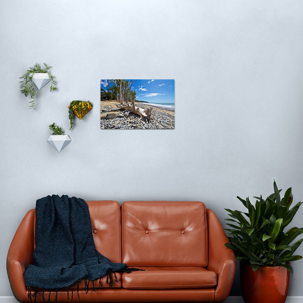 Drift Wood Metal Print