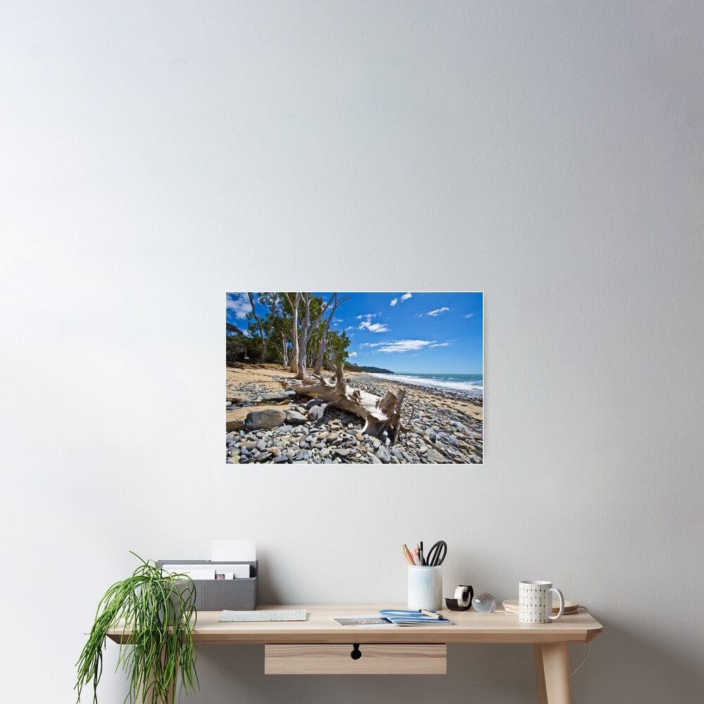 Drift Wood Poster