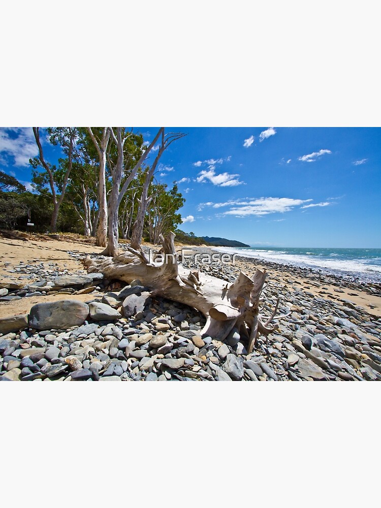 Drift Wood by Mowog