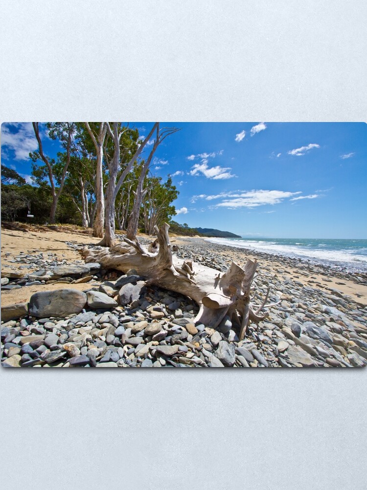Alternate view of Drift Wood Metal Print