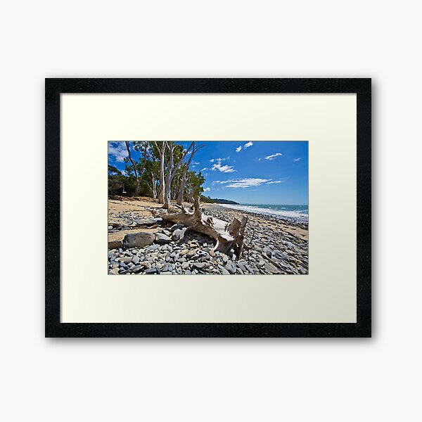 Drift Wood Framed Art Print