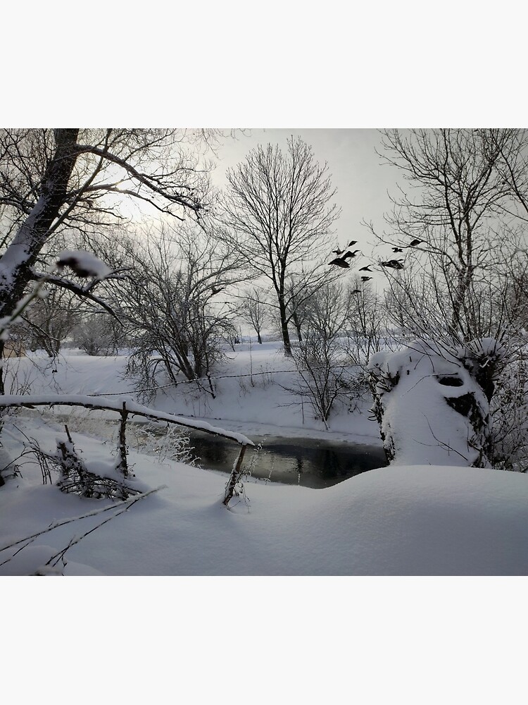 Winter am Fluß von Gourmetkater