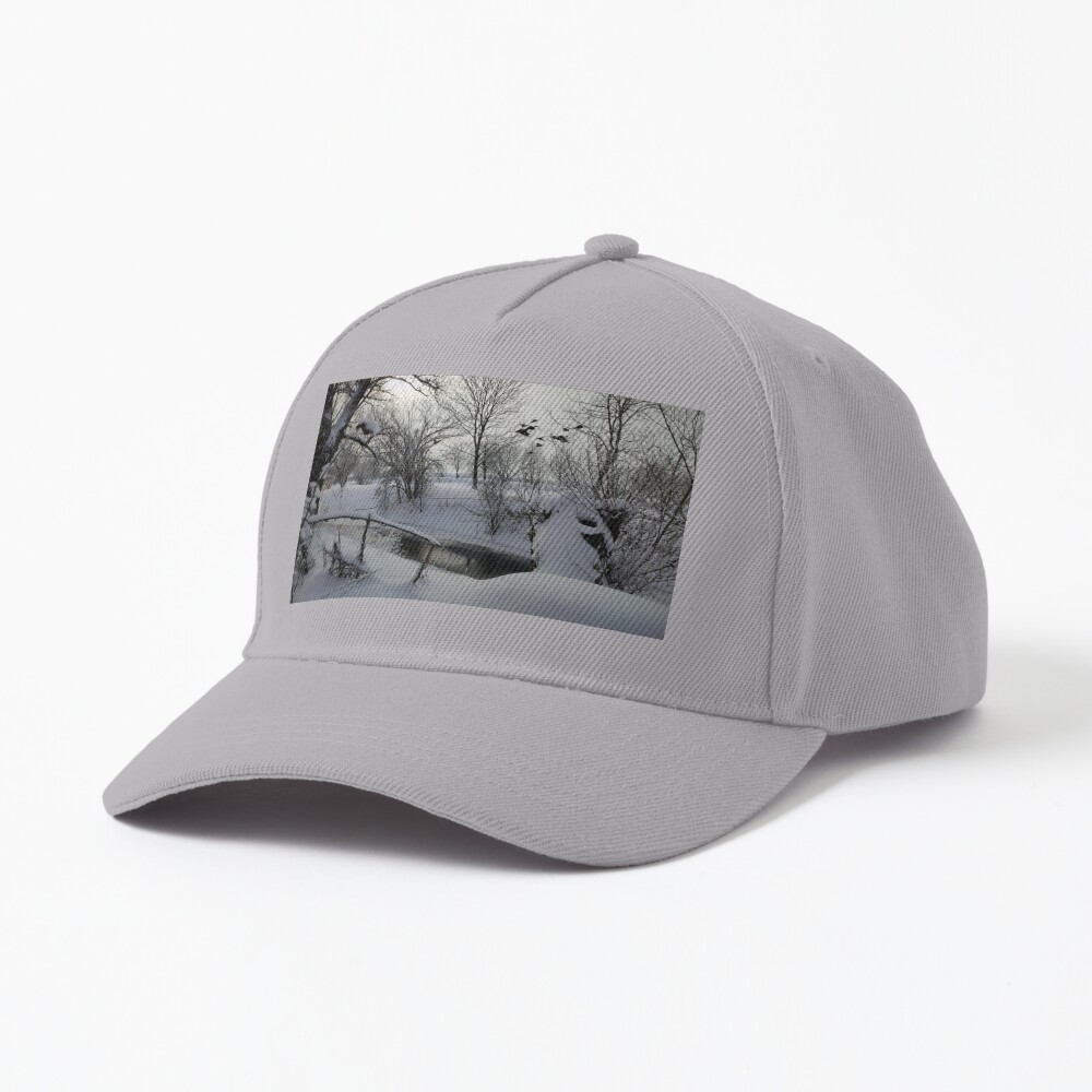 Winter am Fluß Cap