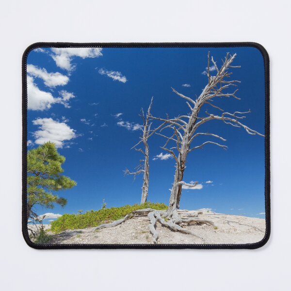 Item preview, Dead Trees designed and sold by Yair Karelic.