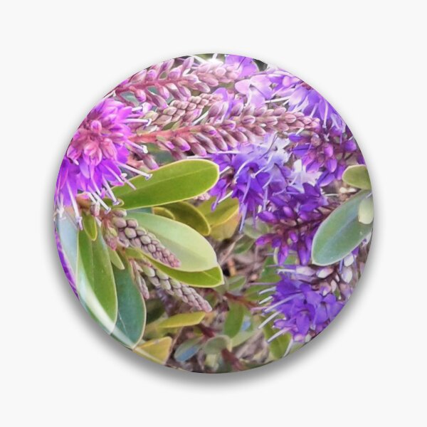 Item preview, Hebe  designed and sold by carole hirst.