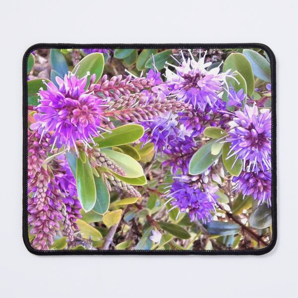 Item preview, Hebe designed and sold by carole hirst.