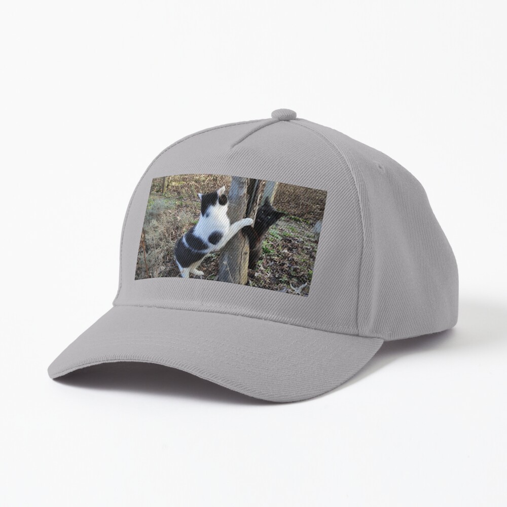 2 Brüder Cap