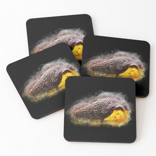 Item preview, Yellow Tower Snail - Tylomelania sp. designed and sold by AquariumLutter.