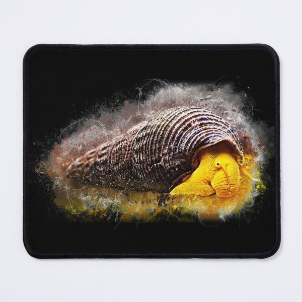 Gelbe Turmdeckelschnecke - Tylomelania sp. Mauspad