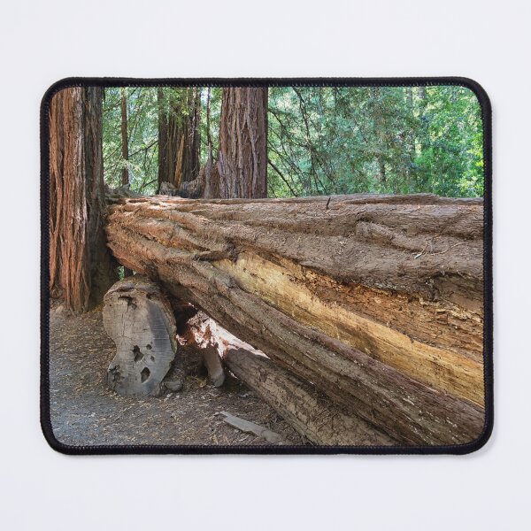 Item preview, Trunk of a Redwood Tree designed and sold by Yair Karelic.