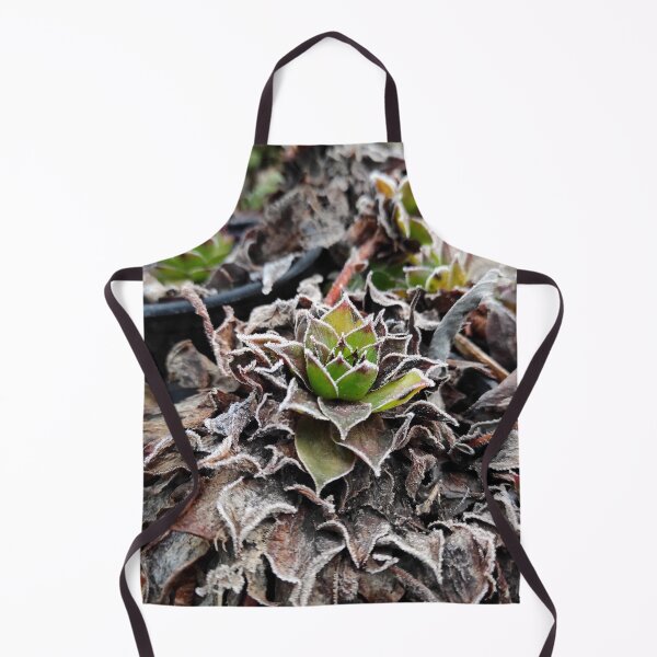 Item preview, Hoar frost on houseleek designed and sold by Gourmetkater.