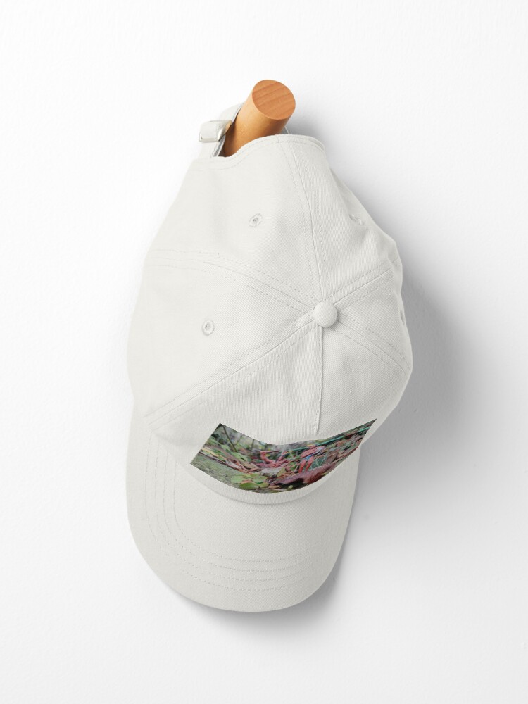 Alternative Ansicht von Kleine Gartenmusik Cap