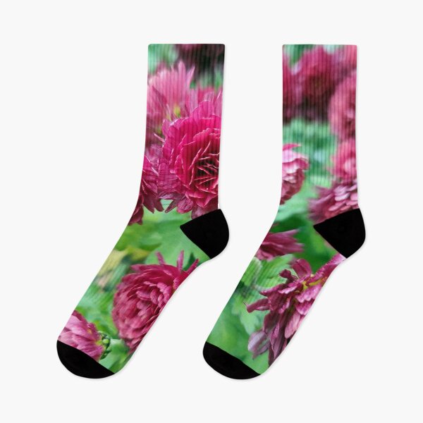 Item preview, Red autumn asters designed and sold by Gourmetkater.