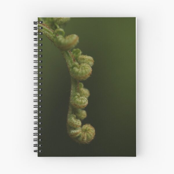 Item preview, Fern designed and sold by rohitchristo.