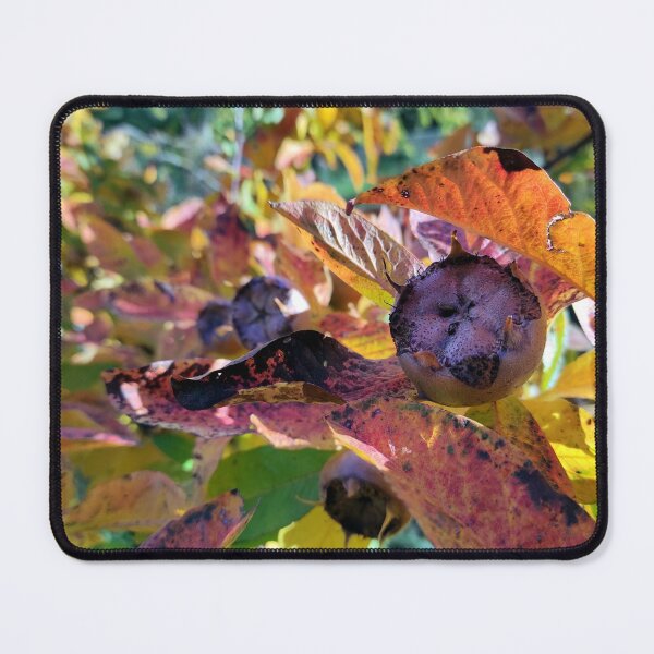 Item preview, Medlar on the tree designed and sold by Gourmetkater.