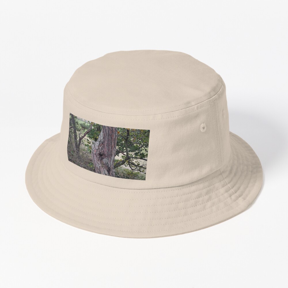 Artikel-Vorschau von Bucket Hat, designt und verkauft von Gourmetkater.