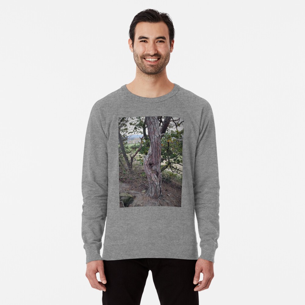 Artikel-Vorschau von Leichter Pullover, designt und verkauft von Gourmetkater.