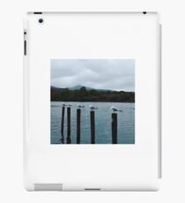 Birds iPad Case/Skin