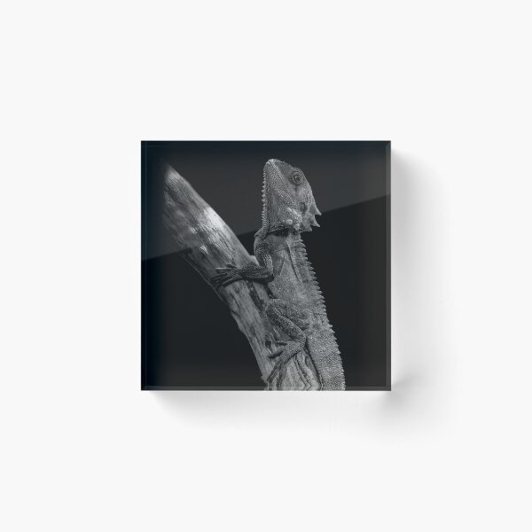 Item preview, Dragon's Den designed and sold by AGDimages.