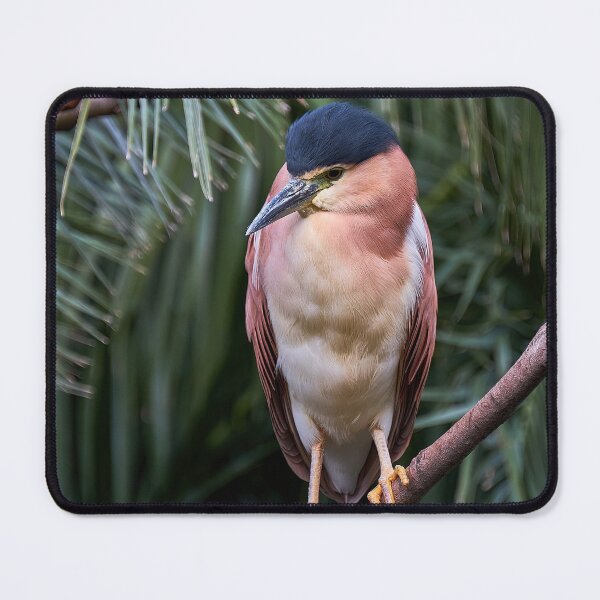 Item preview, Posing like a bird designed and sold by Kiran-Fine-Art.