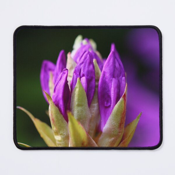 Item preview, Rhododendron designed and sold by rohitchristo.