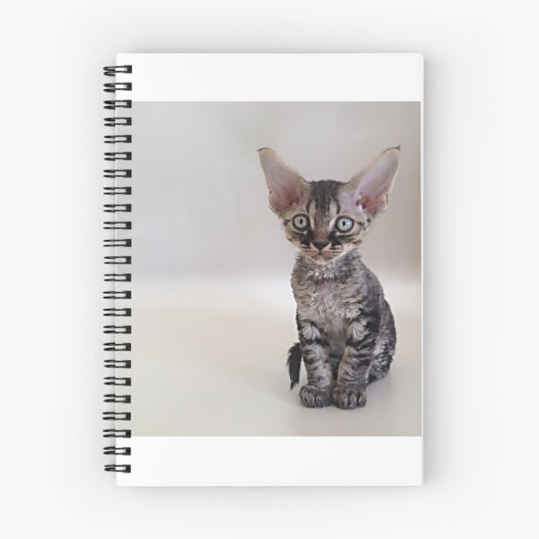 Item preview, Devon Rex Cat 013 designed and sold by devonrexcats.
