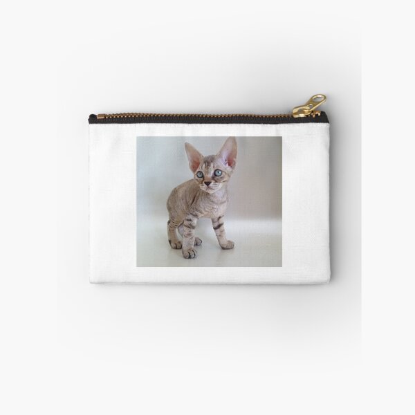 Artikelvorschau, Devon Rex Katze Kätzchen 012 entworfen und verkauft von devonrexcats.