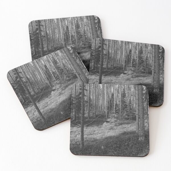 Item preview, Young forest. Seitseminen National Park bw designed and sold by Jouko Lehto Photography.